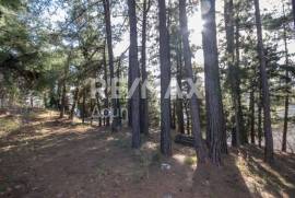 Plot 2000 sq.m for sale