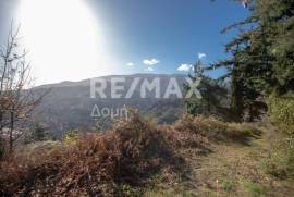 Plot 2000 sq.m for sale