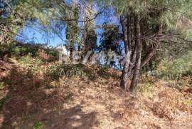 Plot 2000 sq.m for sale