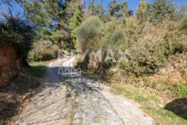 Plot 2000 sq.m for sale