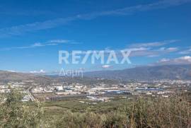 Agricultural 7438 sq.m for sale Agricultural 7438 sq.m for sale