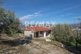 Agricultural 7438 sq.m for sale Agricultural 7438 sq.m for sale