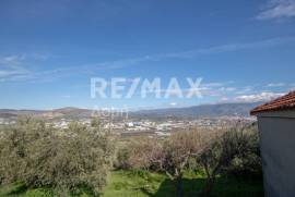 Agricultural 7438 sq.m for sale Agricultural 7438 sq.m for sale