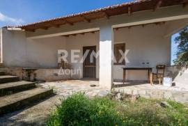 Agricultural 7438 sq.m for sale Agricultural 7438 sq.m for sale