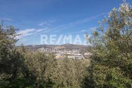 Agricultural 7438 sq.m for sale Agricultural 7438 sq.m for sale