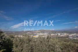 Agricultural 7438 sq.m for sale Agricultural 7438 sq.m for sale