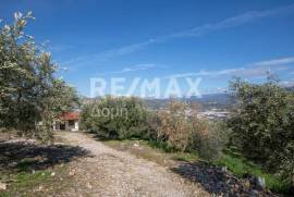 Agricultural 7438 sq.m for sale Agricultural 7438 sq.m for sale