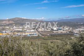 Agricultural 7438 sq.m for sale Agricultural 7438 sq.m for sale