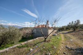 Agricultural 7438 sq.m for sale Agricultural 7438 sq.m for sale