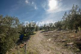 Agricultural 7438 sq.m for sale Agricultural 7438 sq.m for sale