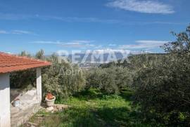 Agricultural 7438 sq.m for sale Agricultural 7438 sq.m for sale