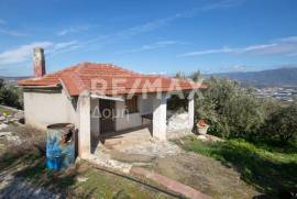 Agricultural 7438 sq.m for sale Agricultural 7438 sq.m for sale