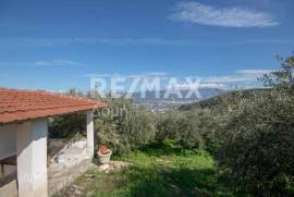 Agricultural 7438 sq.m for sale Agricultural 7438 sq.m for sale