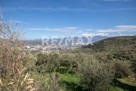 Agricultural 7438 sq.m for sale Agricultural 7438 sq.m for sale