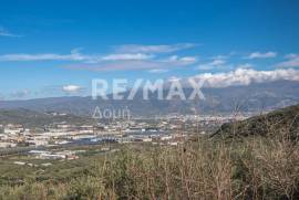 Agricultural 7438 sq.m for sale Agricultural 7438 sq.m for sale