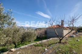 Agricultural 7438 sq.m for sale Agricultural 7438 sq.m for sale