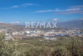 Agricultural 7438 sq.m for sale Agricultural 7438 sq.m for sale