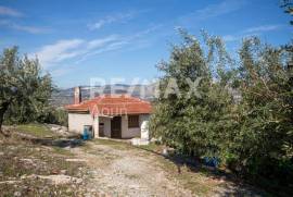 Agricultural 7438 sq.m for sale Agricultural 7438 sq.m for sale