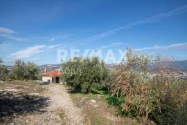 Agricultural 7438 sq.m for sale