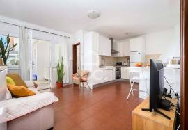 Villa Reguengos de Monsaraz Perolivas