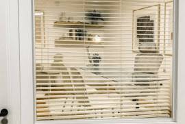 Escritórios para Arrendamento no Campo Grande