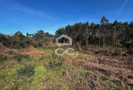 Land Paços de Ferreira MEIXOMIL