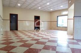 Commercial property Bombarral Delgada