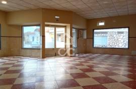 Commercial property Bombarral Delgada