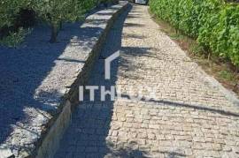 Farm with Winery in Adorigo – Tabuaço