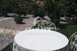 Farm with Winery in Adorigo – Tabuaço