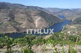 Farm with Winery in Adorigo – Tabuaço