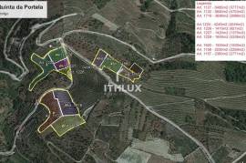 Farm with Winery in Adorigo – Tabuaço