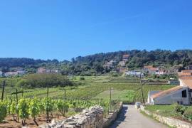 Luxury 2 Bed Apartment For Sale in Lumbarda Resort Lumbarda Korčula Croatia