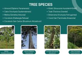 1 Bed Apartment for Sale in Nama 3 Complex Sharjah UAE 1 Bed Apartment for Sale in Nama 3 Complex Sharjah UAE