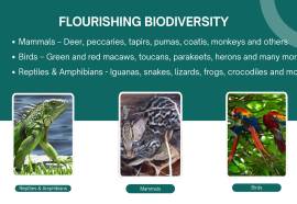 1 Bed Apartment for Sale in Nama 3 Complex Sharjah UAE 1 Bed Apartment for Sale in Nama 3 Complex Sharjah UAE