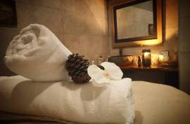 Luxury Finca Vivaldi Hotel For Sale in Leon Spain