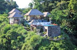 Luxury 5 Bed Amori Villas For Sale In Ubud Bali Indonesia