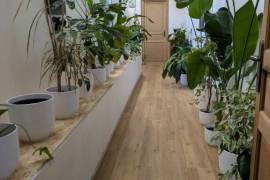 Luxury 6 Bed Equestrian Home & Gite For Sale In CHATIGNAC France