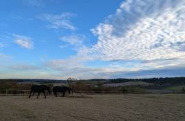 Luxury 6 Bed Equestrian Home & Gite For Sale In CHATIGNAC France