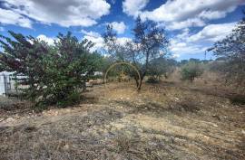 Urban land with 2,136m2 with feasibility of construction of 300 m2