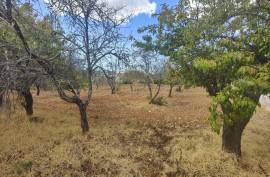 Urban land with 2,136m2 with feasibility of construction of 300 m2