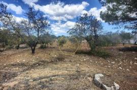 Urban land with 2,136m2 with feasibility of construction of 300 m2