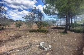 Urban land with 2,136m2 with feasibility of construction of 300 m2