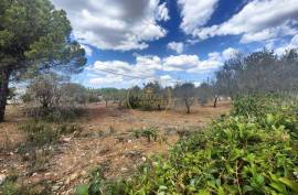 Urban land with 2,136m2 with feasibility of construction of 300 m2