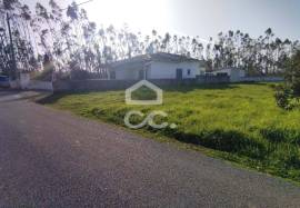 Land Marinha Grande Pero Neto