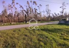 Land Marinha Grande Pero Neto