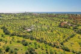 Very large plot with 12,68 ha (31,33 acres) located in Albufeira.