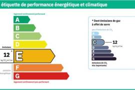 Former Winegrower's House With Great Potential For Rental Or Conversion Into A Large Family Home. Former Winegrower's House With Great Potential For Rental Or Conversion Into A Large Family Home.