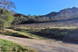 A Unique Estate With Rare Potential - A Multi-Faceted Gem To Discover