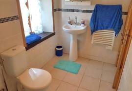 House with garage for sale in the south of the Brenne, 36